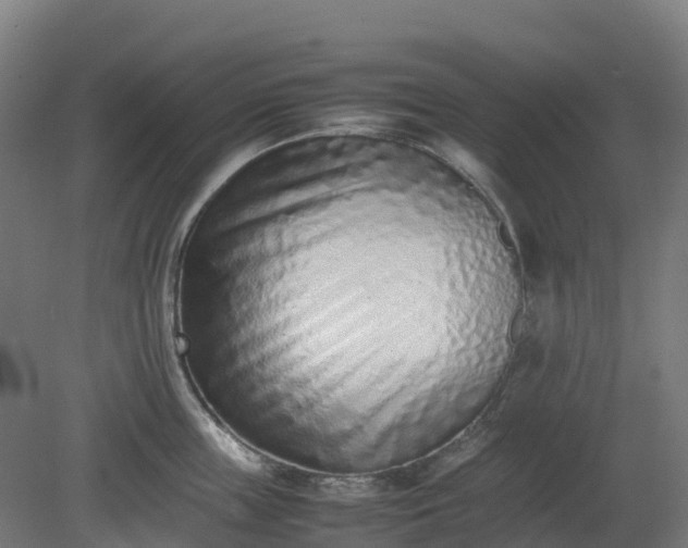 X0000080110859200612151645
