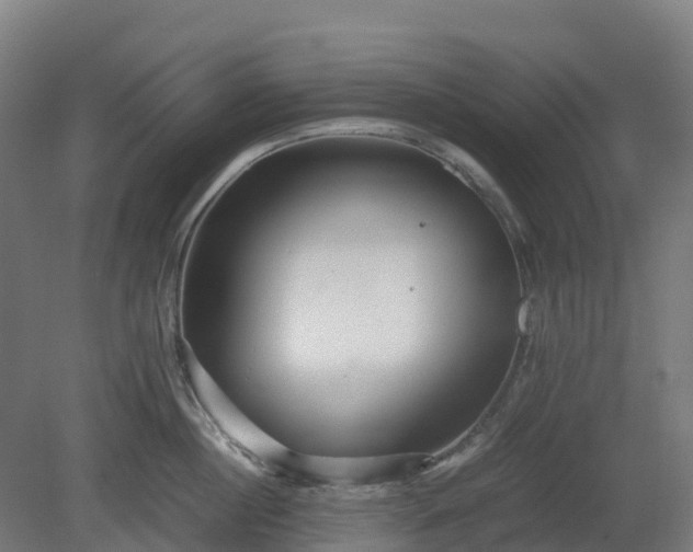 X0000080110860200612151645