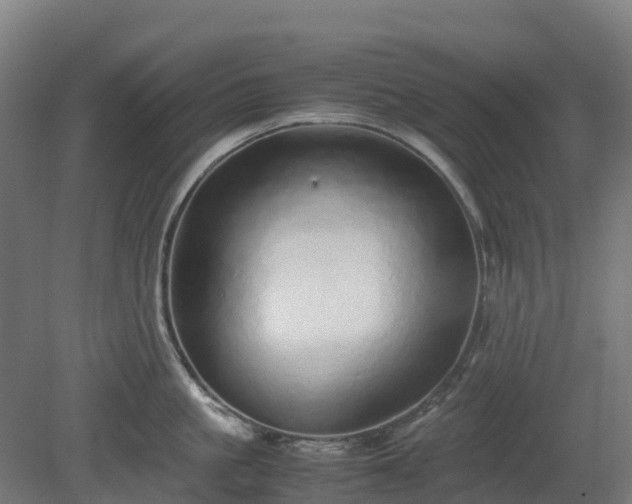 X0000080110861200612151645