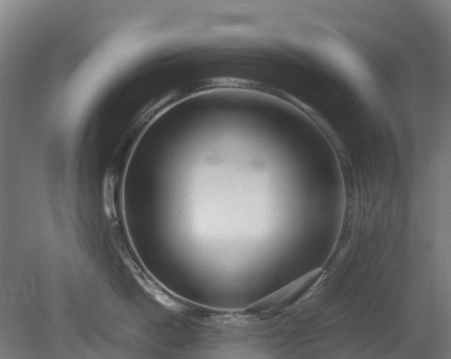 X0000080110862200612151645
