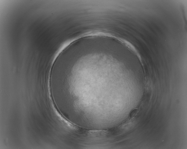 X0000080110863200612151645