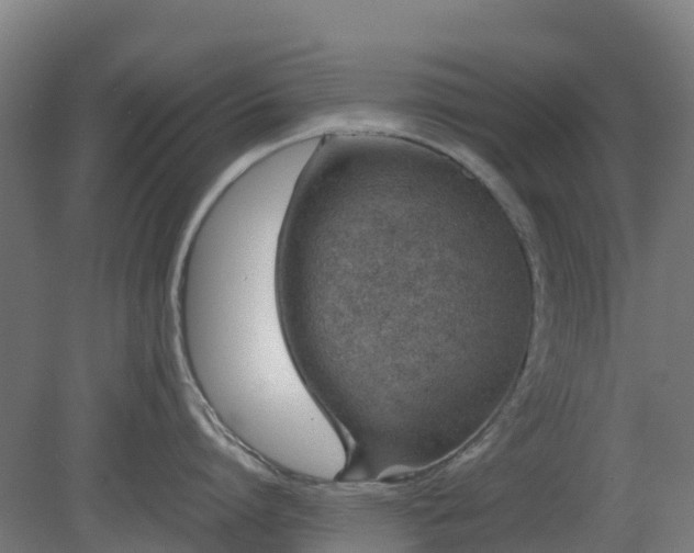 X0000080110864200612151645