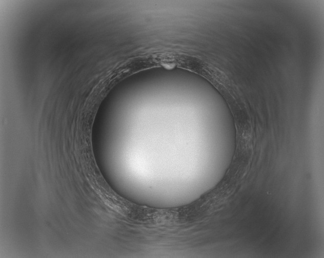 X0000080110865200612151644