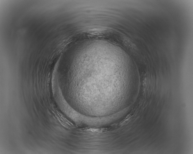 X0000080110868200612151644