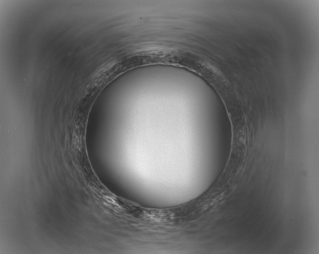 X0000080110869200612151644