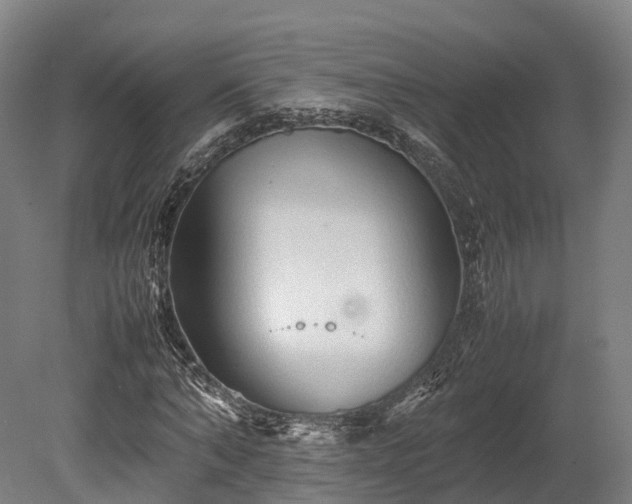 X0000080110870200612151644