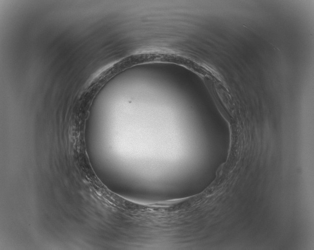 X0000080110872200612151644