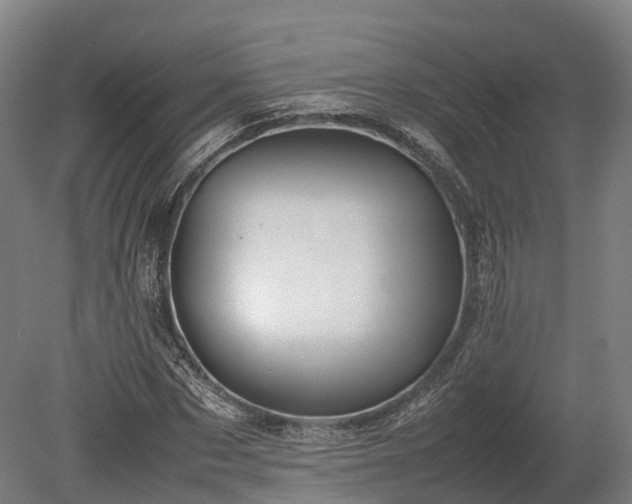 X0000080110873200612151644