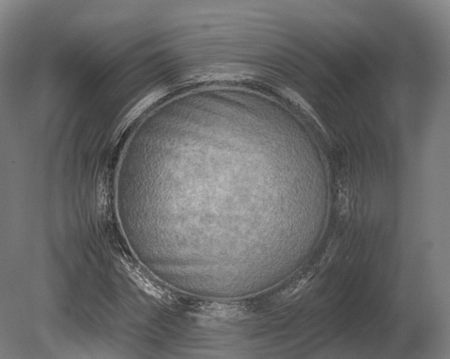 X0000080110874200612151644