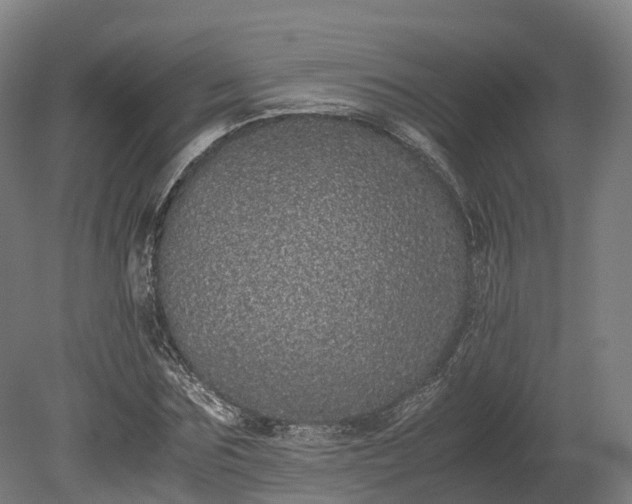 X0000080110875200612151644