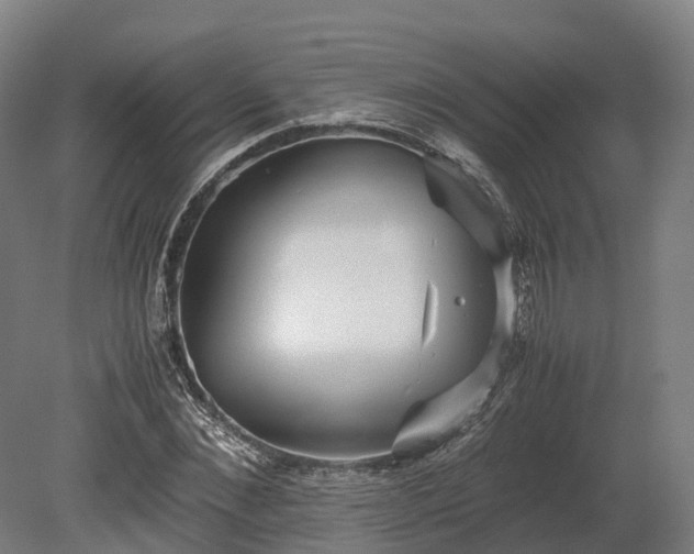 X0000080110876200612151644