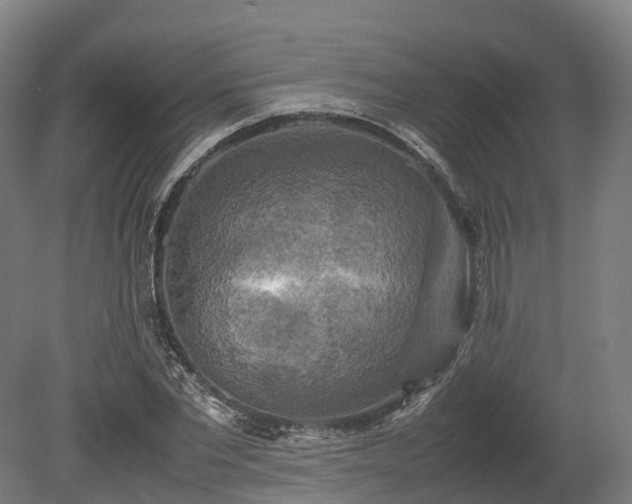 X0000080110877200612151644