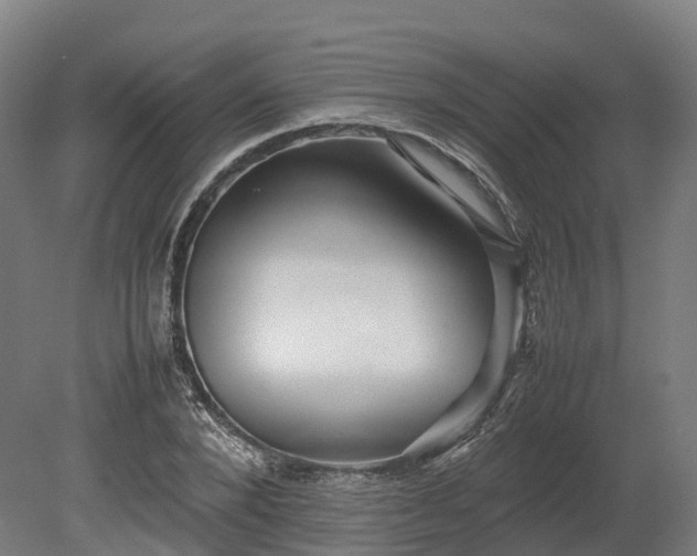 X0000080110880200612151644
