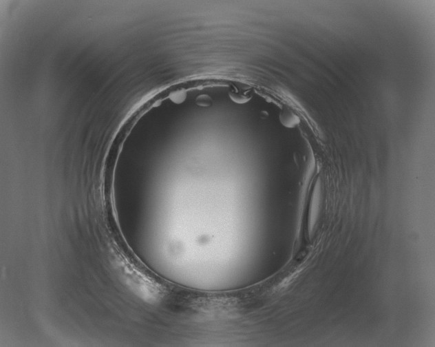 X0000080110884200612151644