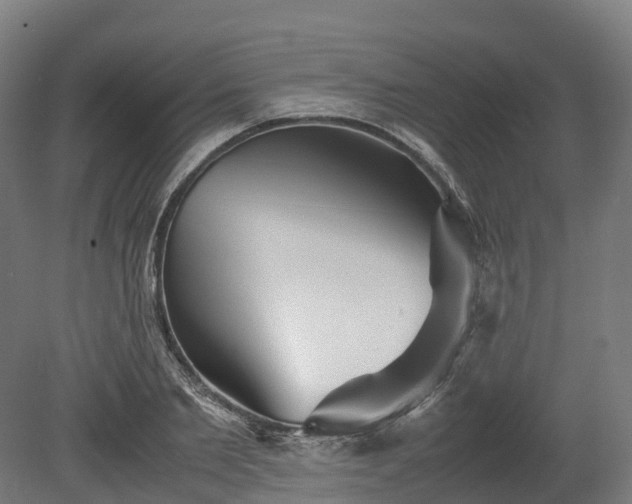 X0000080110885200612151644