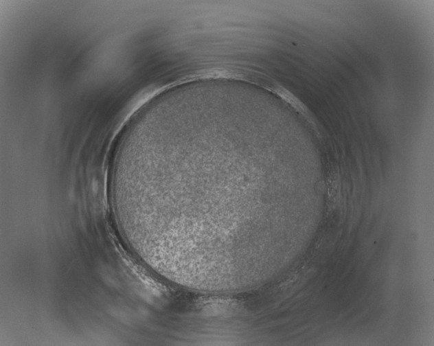 X0000080110886200612151644
