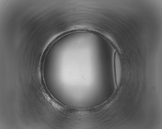 X0000080110888200612151644