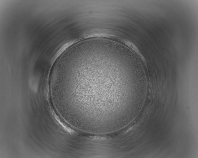 X0000080110890200612151644