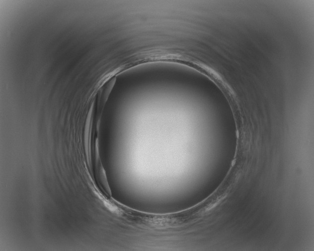 X0000080110897200612151644