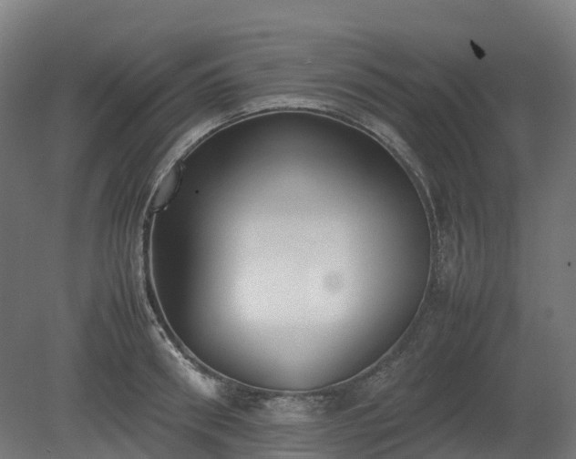 X0000080110898200612151644