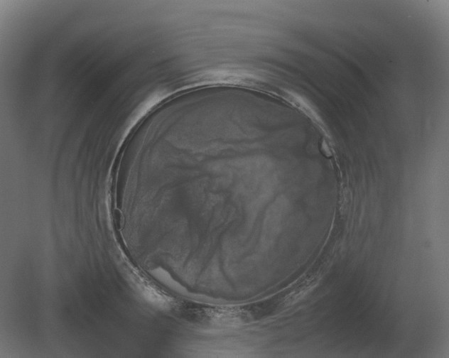 X0000080110899200612151644