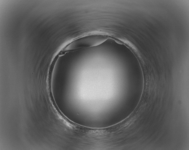 X0000080110902200612151644