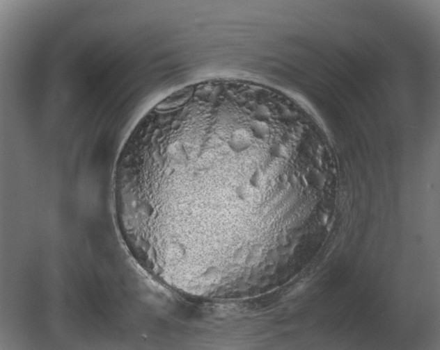 X0000080110903200612151644