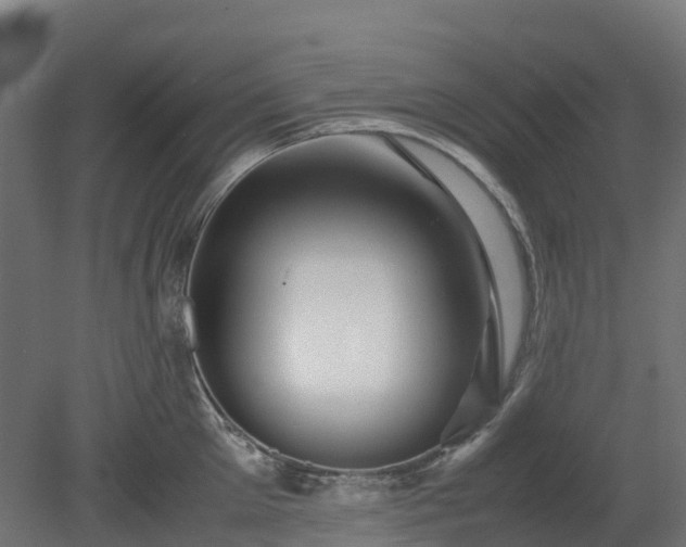 X0000080110905200612151643