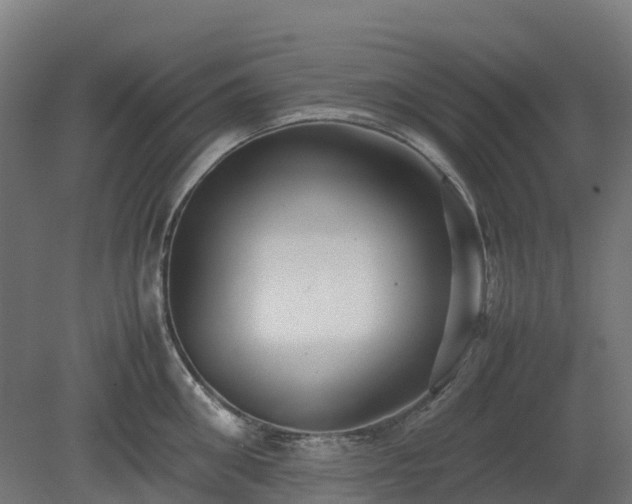 X0000080110906200612151643