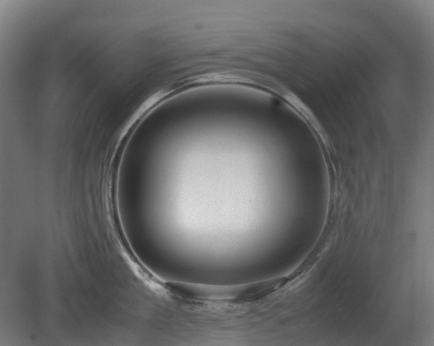 X0000080110909200612151643