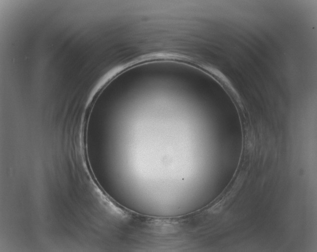 X0000080110910200612151643