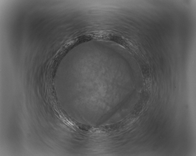X0000080110913200612151643