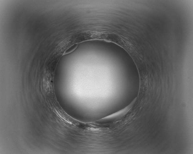 X0000080110914200612151643
