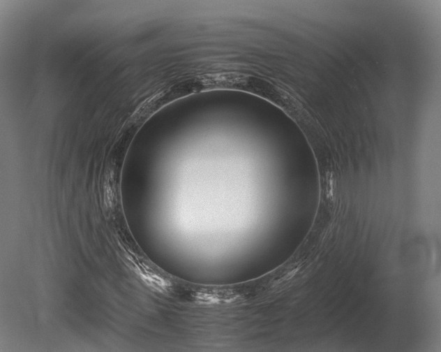 X0000080110915200612151643