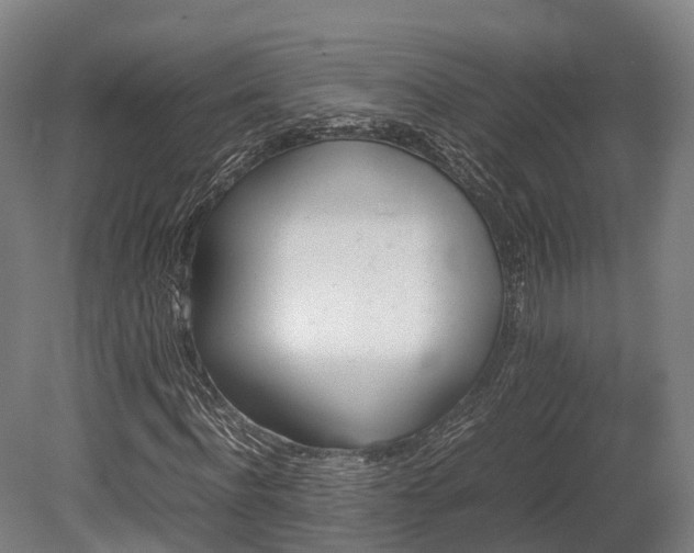 X0000080110916200612151643