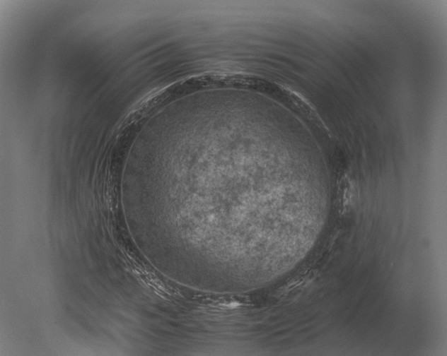 X0000080110919200612151643