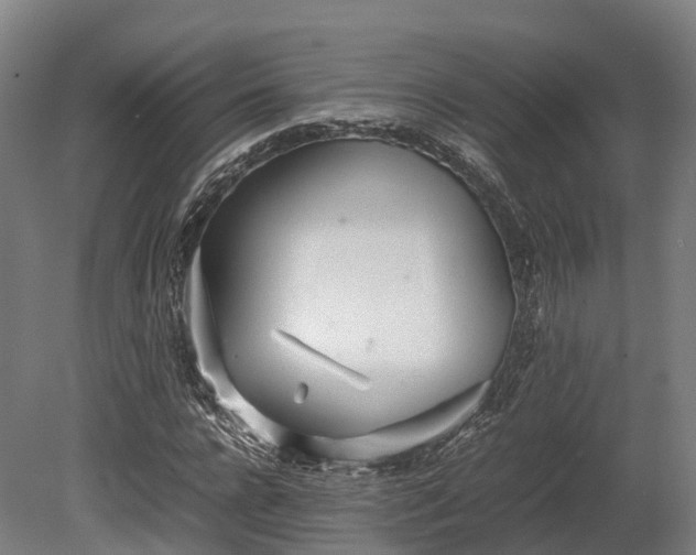 X0000080110920200612151643