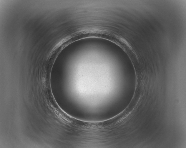 X0000080110922200612151643