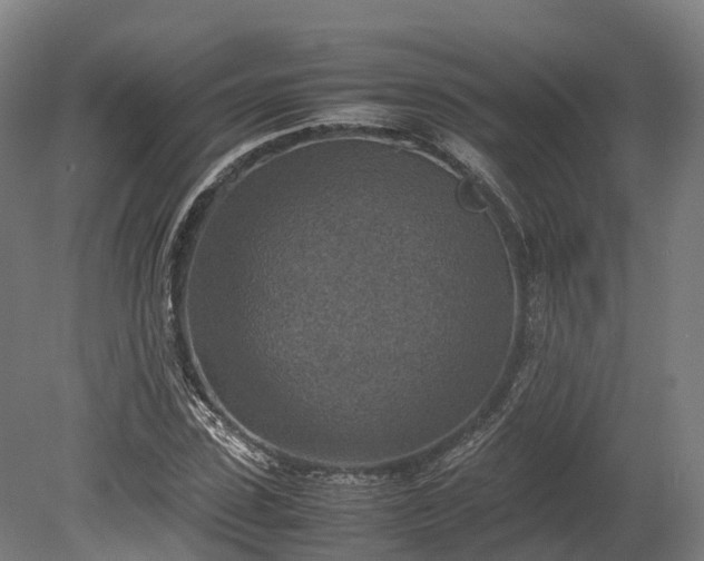 X0000080110923200612151643
