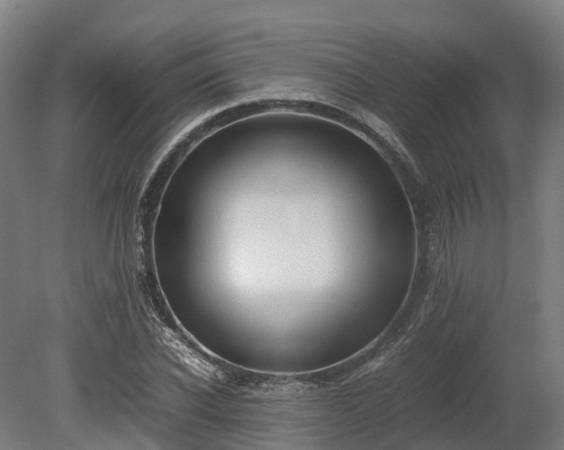 X0000080110926200612151643