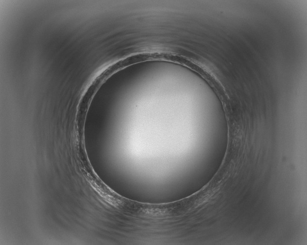 X0000080110927200612151643
