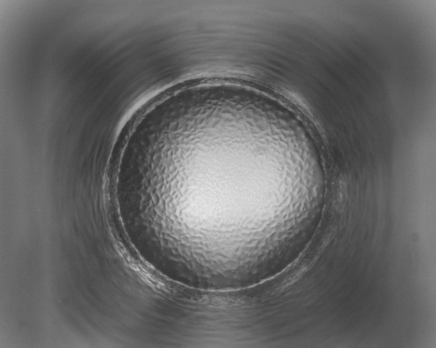 X0000080110928200612151643