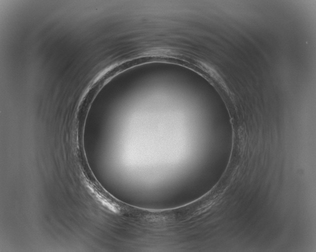 X0000080110931200612151643