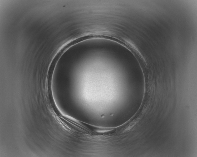 X0000080110932200612151643