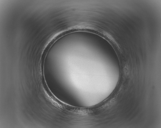 X0000080110934200612151643
