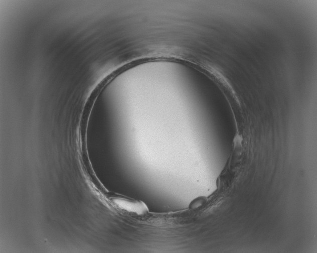X0000080110936200612151643