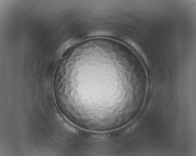 X0000080110937200612151643