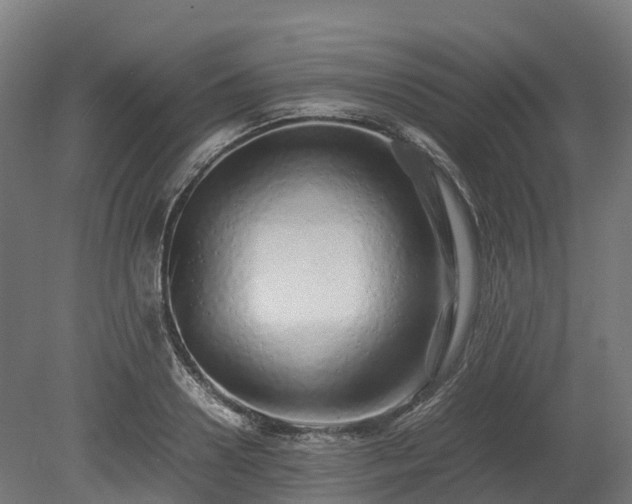 X0000080110938200612151643