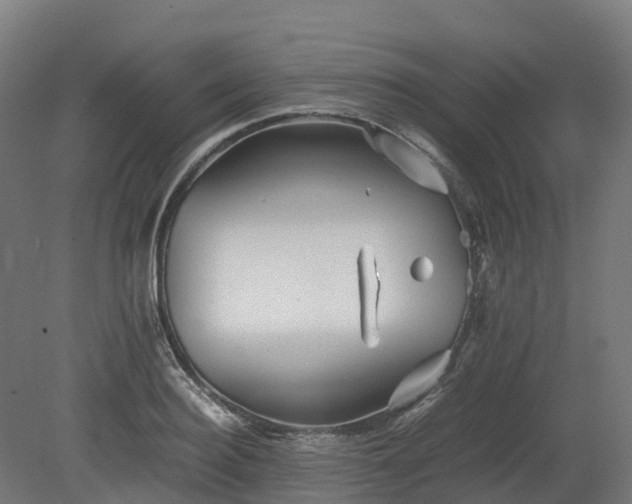 X0000080110940200612151643
