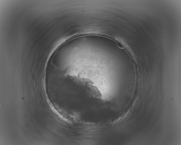 X0000080110941200612151643